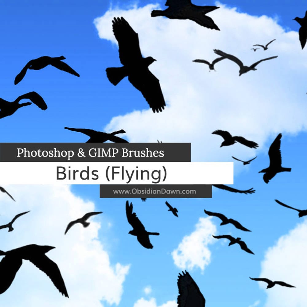 Download 40 Bird Silhouette Photoshop Brushes