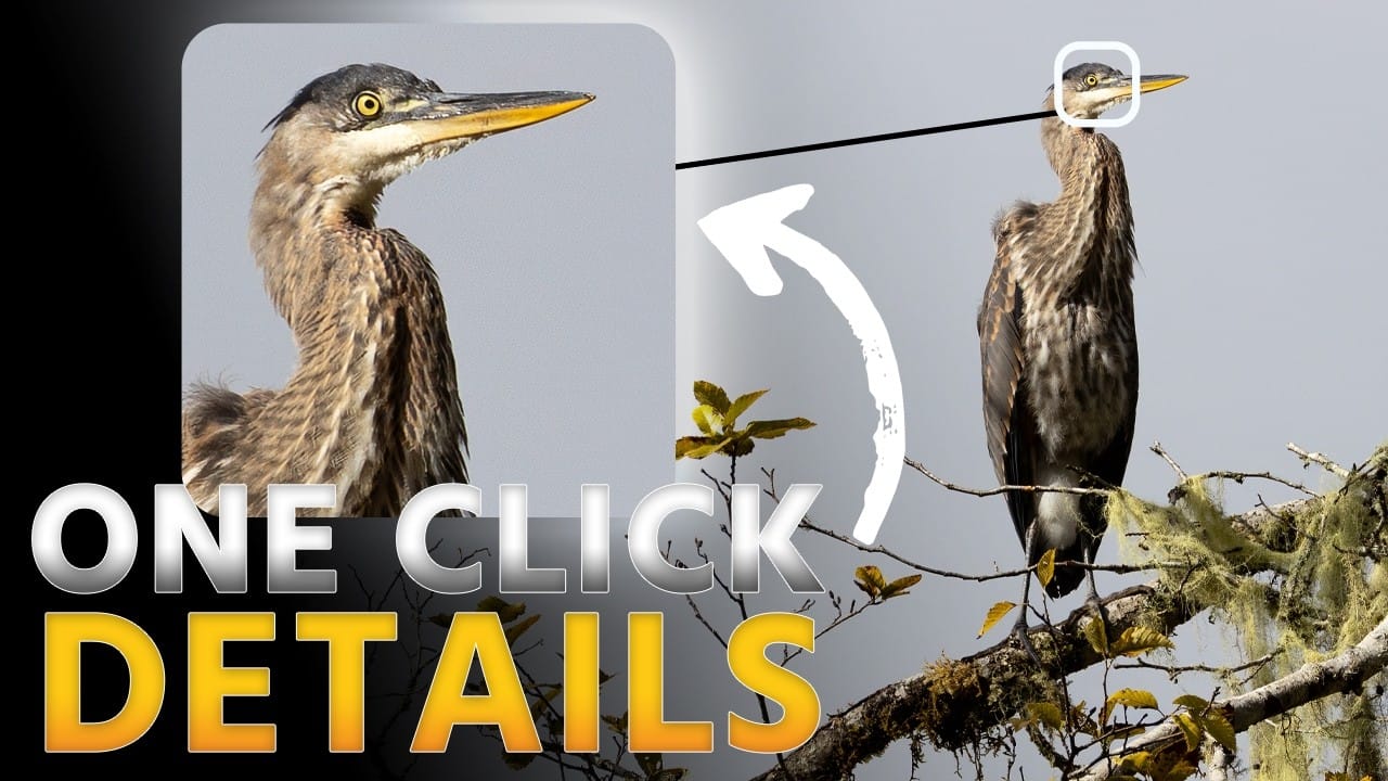 How to Use Photoshop's AI Sharpen Filter and When It's Worth the Cost