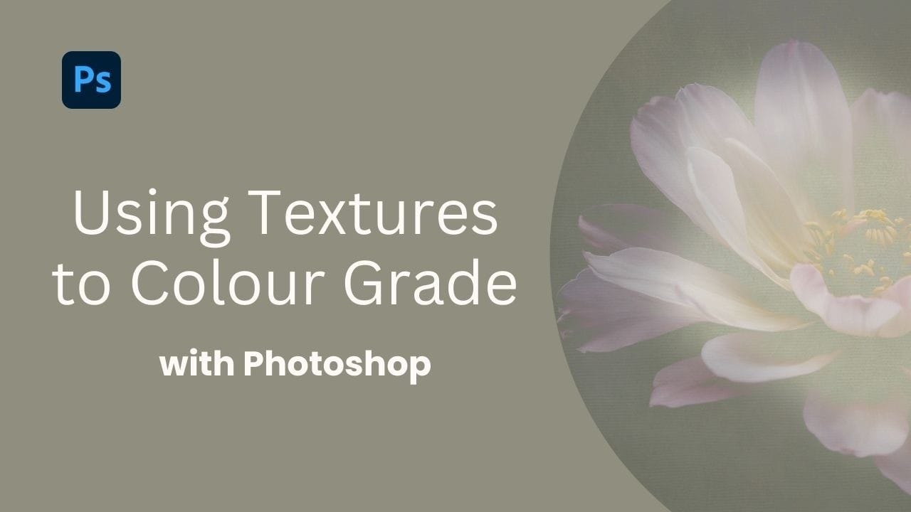 How to Use Textures for Color Grading in Photoshop