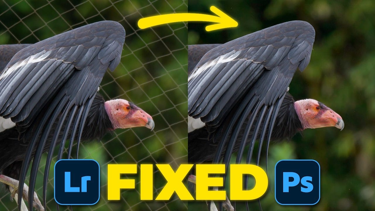 How to Remove Complex Background Elements Using AI in Photoshop