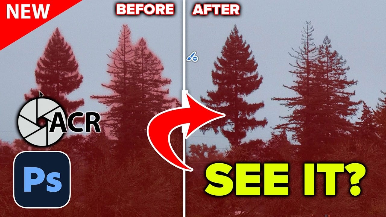 How to Use the New Edge Refinement Tool in Camera Raw and Fix Complex Mask Edges