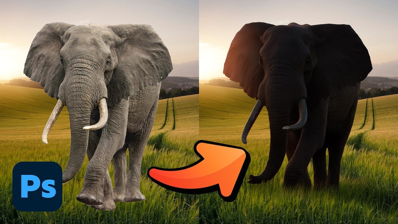 5 Recent Photoshop Features Worth Adding to Your Workflow