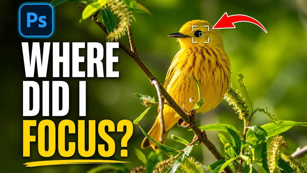 Camera Raw July 2026 Update: Focus Point Display, Gradient Feathering, and Generative Expand