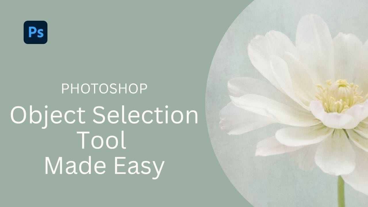 How to Use the Object Selection Tool in Photoshop for Faster Edits