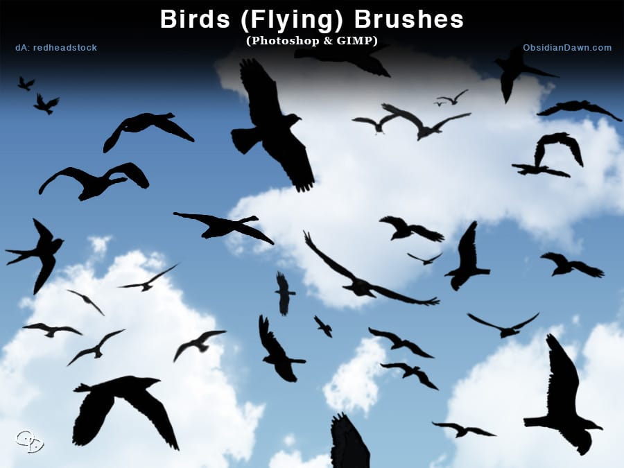 Birds Flying Photoshop Brushes