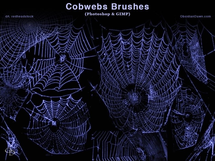 Cobwebs Photoshop Brushes