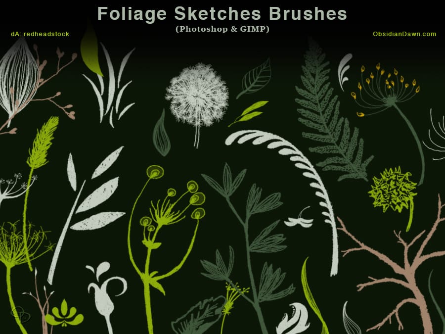 Foliage Sketches Photoshop Brushes