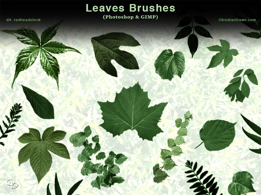 Leaves Photoshop Brushes
