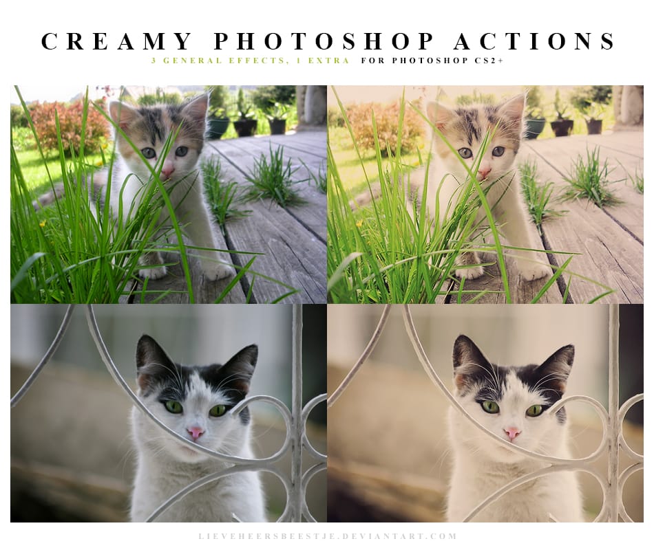 Photoshop Free Creamy Color Effect Actions